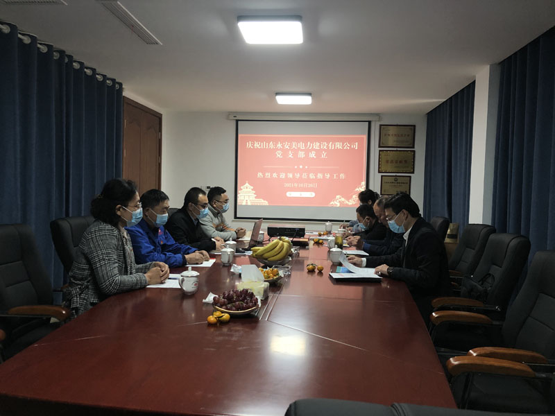 熱烈慶祝山東永安美電力科技有限公司黨支部成立