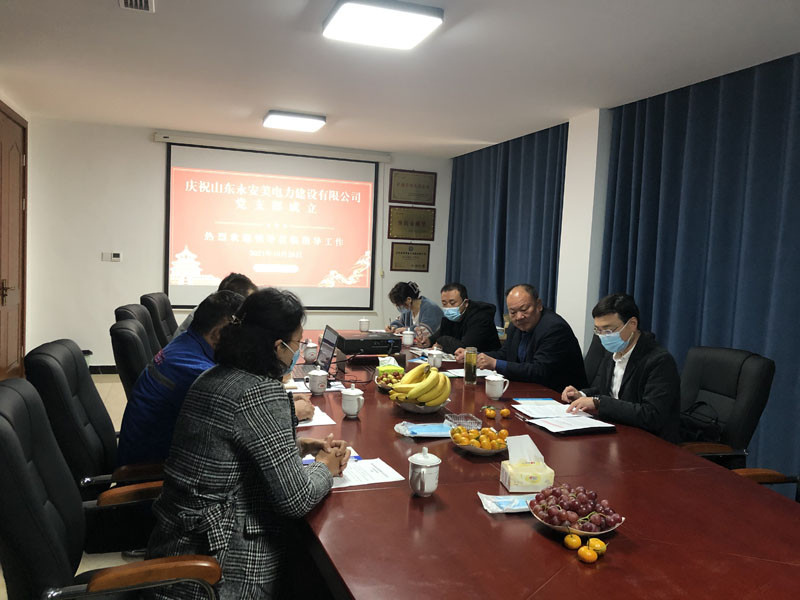 熱烈慶祝山東永安美電力科技有限公司黨支部成立